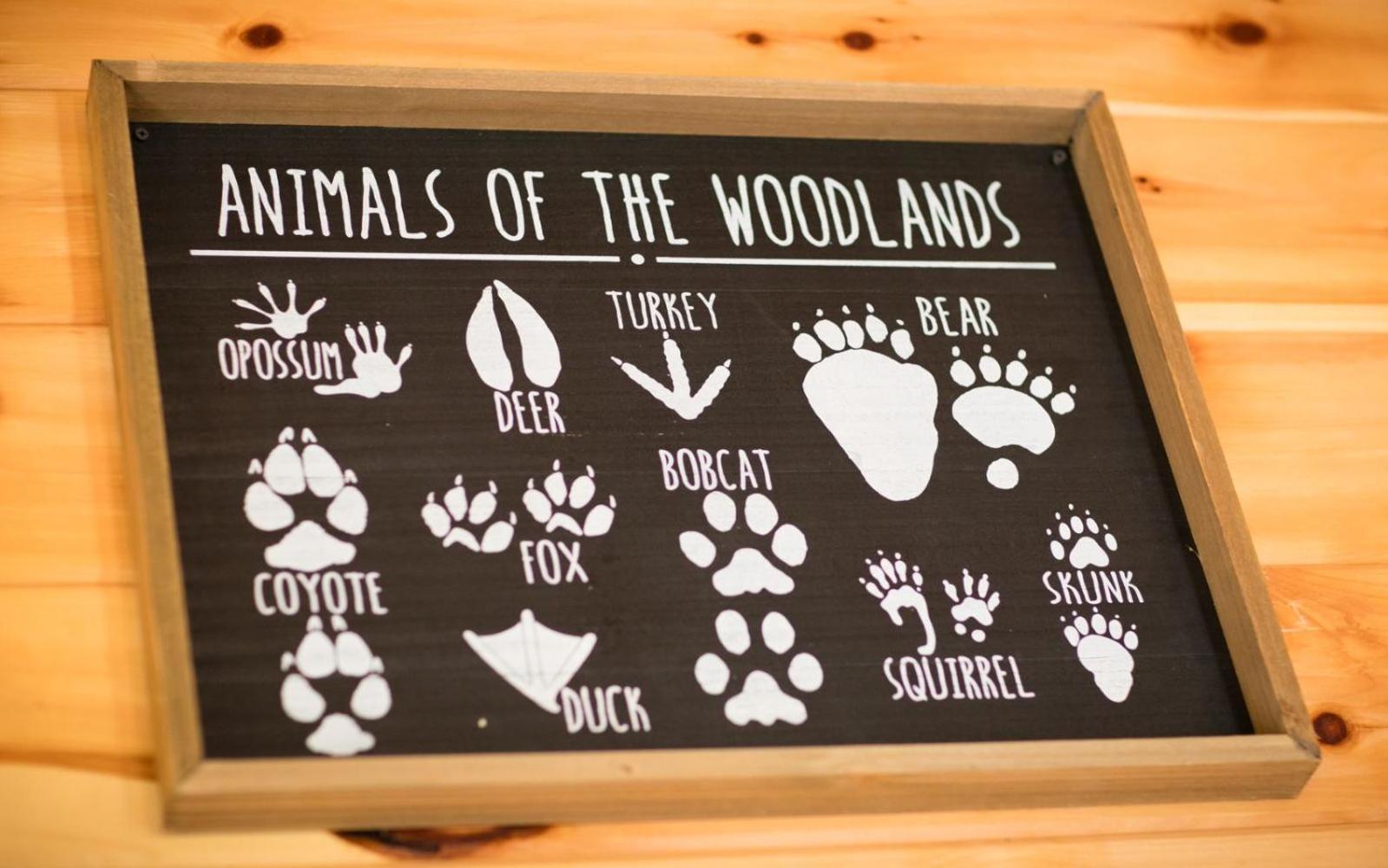 Lifes A Bear Villa Gatlinburg Kültér fotó